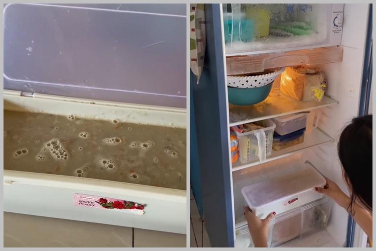 Modal Rp7.000, ini cara bikin makanan kucing agar cepat gemuk cuma pakai 3 bahan makanan