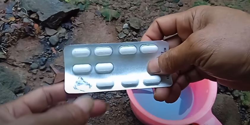 Bukan pakai bumbu dapur, ini trik merawat pohon mangga agar berbuah di luar musim dengan 1 jenis obat