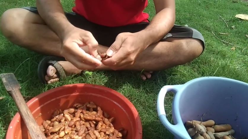 Hanya modal 2 bahan dapur, ini cara simpan asam jawa agar tak jamuran dan awet sampai 6 bulan