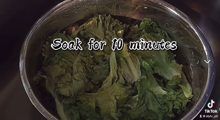 Jangan dibuang, ini cara kembalikan sayur layu jadi segar bak baru dipetik cukup tambah 2 bahan dapur