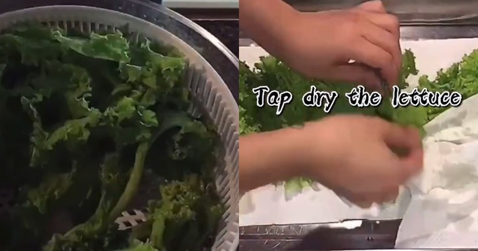 Jangan dibuang, ini cara kembalikan sayur layu jadi segar bak baru dipetik cukup tambah 2 bahan dapur