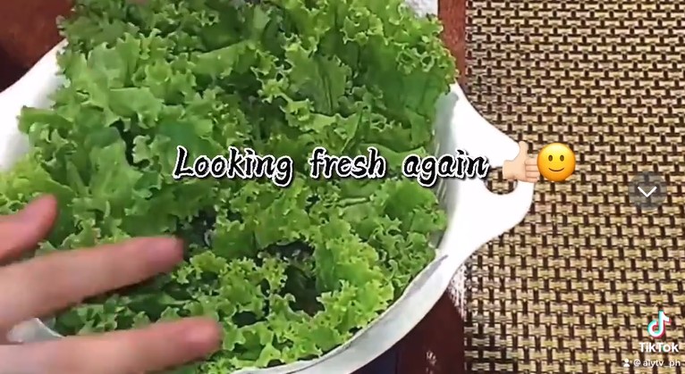 Jangan dibuang, ini cara kembalikan sayur layu jadi segar bak baru dipetik cukup tambah 2 bahan dapur