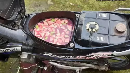 motor tempat makan berbagai sumber