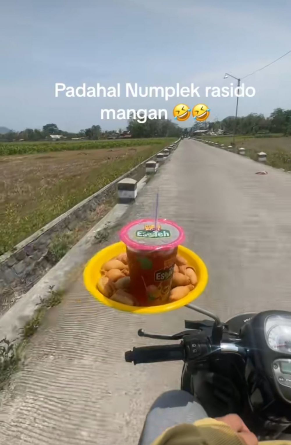 makanan spion motor berbagai sumber