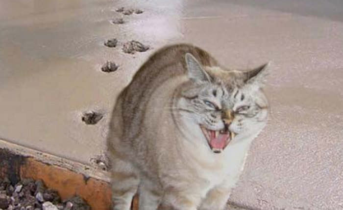 cor basah lewat berbagai sumber