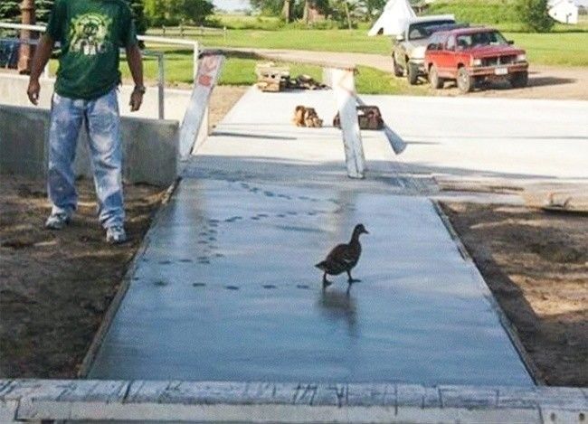 cor basah lewat berbagai sumber