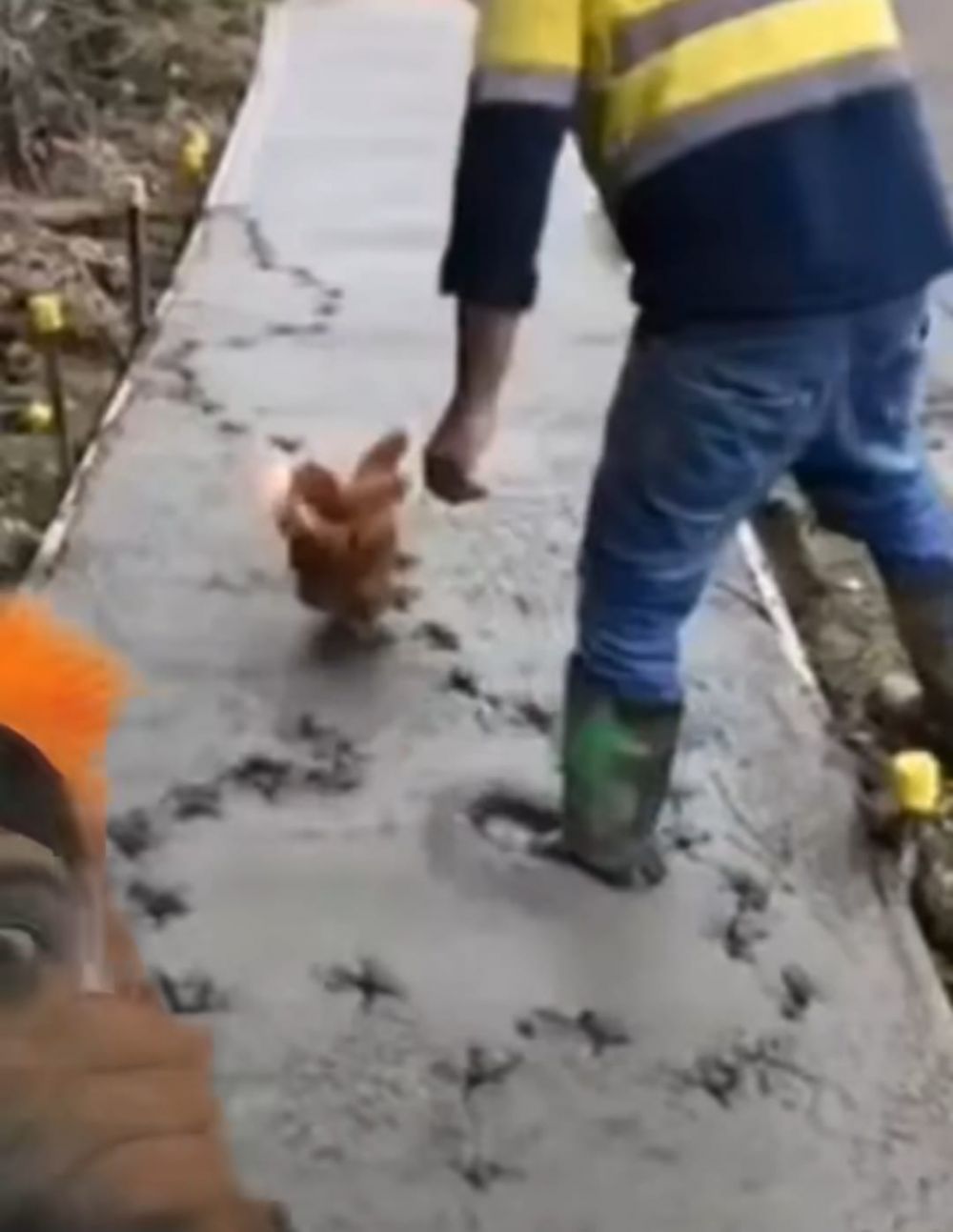 cor basah lewat berbagai sumber