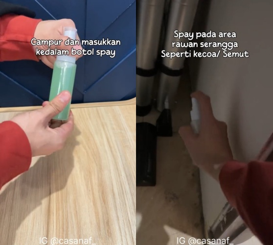 bikin cairan pembasmi serangga © TikTok