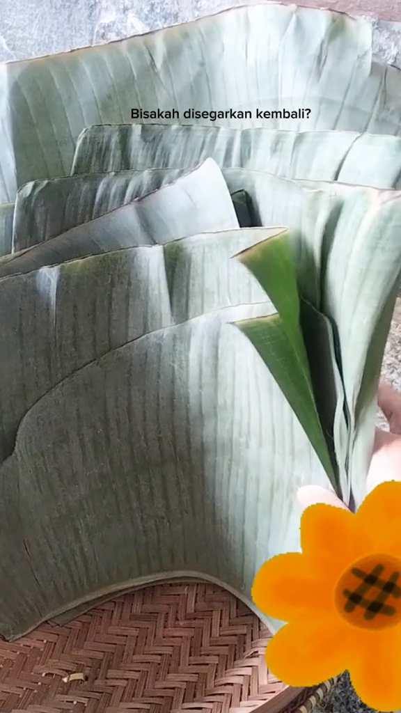 Tanpa dimasukkan kulkas, ini cara kembalikan daun pisang layu jadi segar seperti baru dipetik