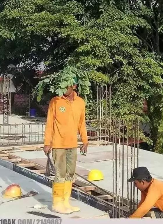 rambut buah nyeleneh berbagai sumber rambut buah nyeleneh berbagai sumber