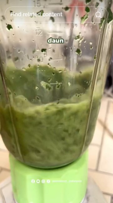 Jangan cuma sabun cuci piring, ini trik atasi tanaman cabai yang daunnya keriting pakai 1 jenis daun