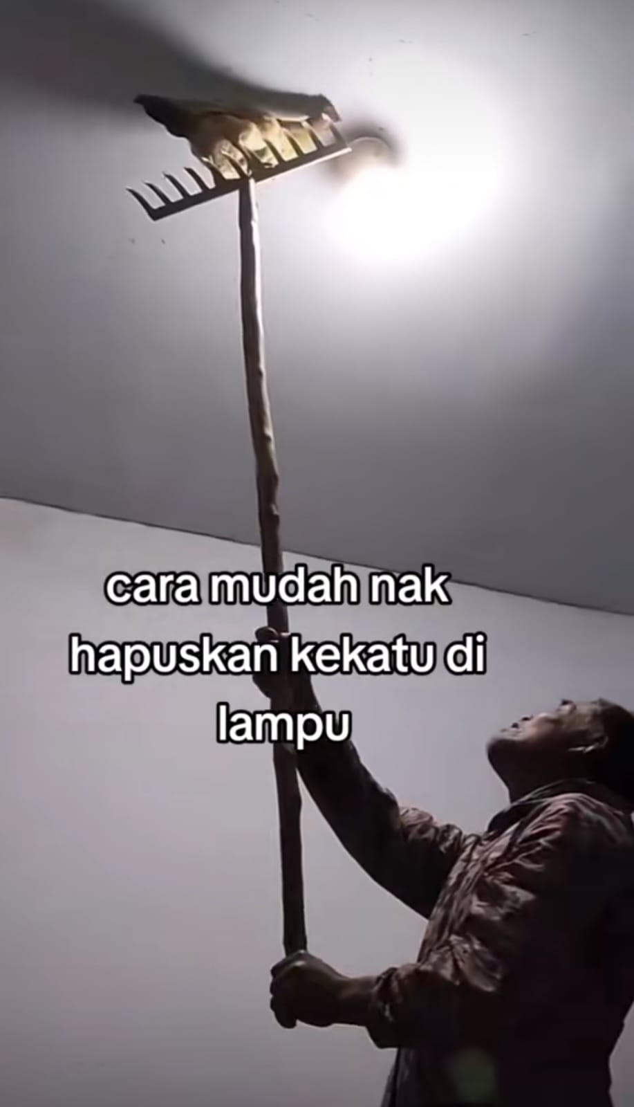 ngusir laron pakai ayam © TikTok