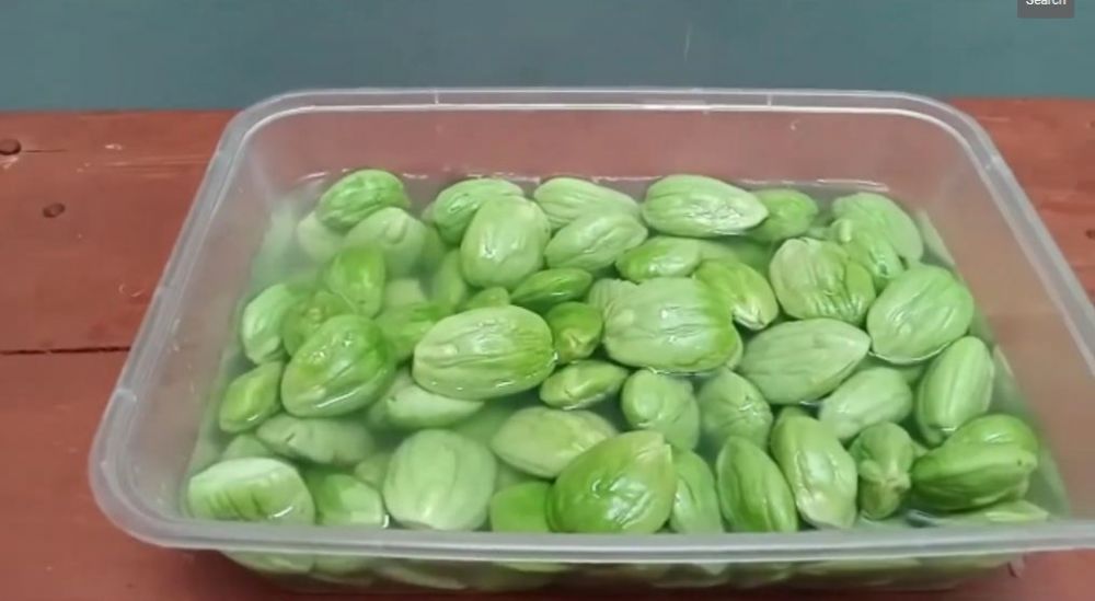 Trik mengembalikan petai yang keriput dan teksturnya lembek jadi segar kembali meski tanpa air es