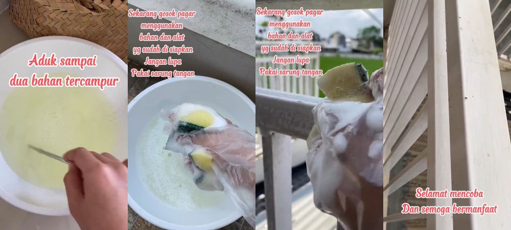 cara hilangkan jamur di pagar besi © berbagai sumber cara hilangkan jamur di pagar besi © berbagai sumber