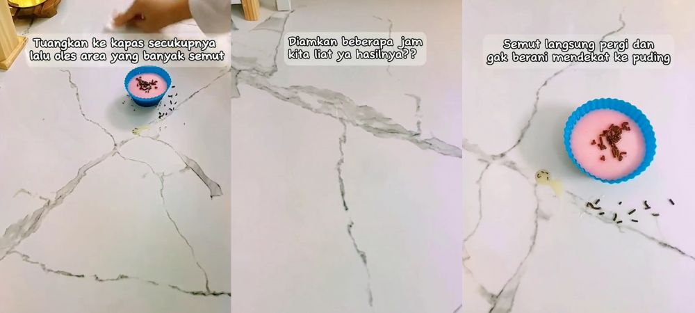 trik mudah usir semut cuma andalkan 1 jenis minyak © berbagai sumber