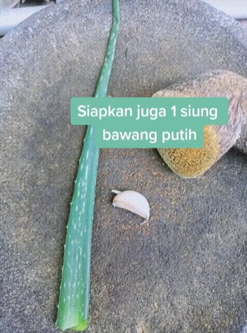 Jangan cuma pakai bawang putih, ini trik mengusir hama pada pohon cabai cukup tambah 1 jenis tanaman