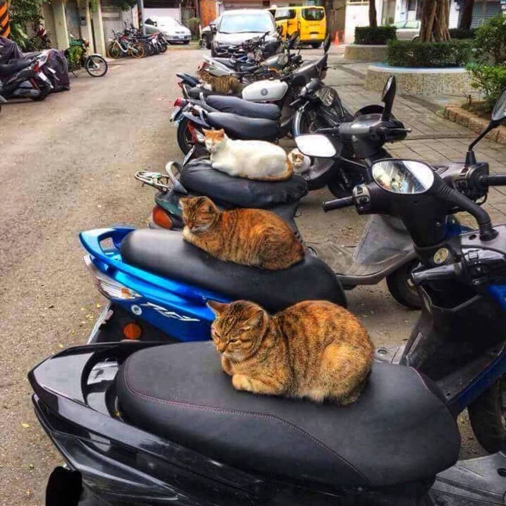 amanin motor nyeleneh berbagai sumber