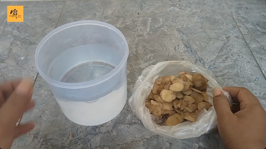 Bukan micin atau air beras, ini trik merawat tanaman sayur dan buah agar subur pakai 1 umbi-umbian