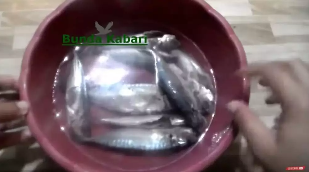 Cara ampuh hilangkan formalin pengawet pada ikan, cukup pakai satu bahan dapur