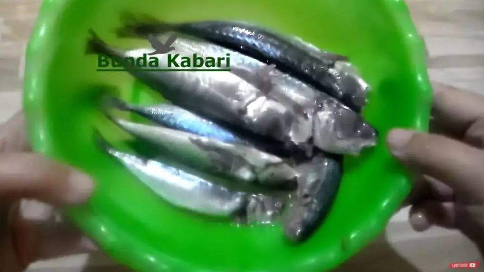 Cara ampuh hilangkan formalin pengawet pada ikan, cukup pakai satu bahan dapur