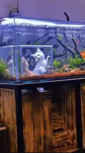 Potret kocak diam-diam sembunyikan hal tak terduga Berbagai sumber Potret kocak diam-diam sembunyikan hal tak terduga Berbagai sumber