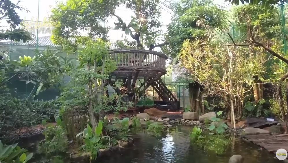 aviary milik irfan hakim hingga 3 m © YouTube aviary milik irfan hakim hingga 3 m © YouTube