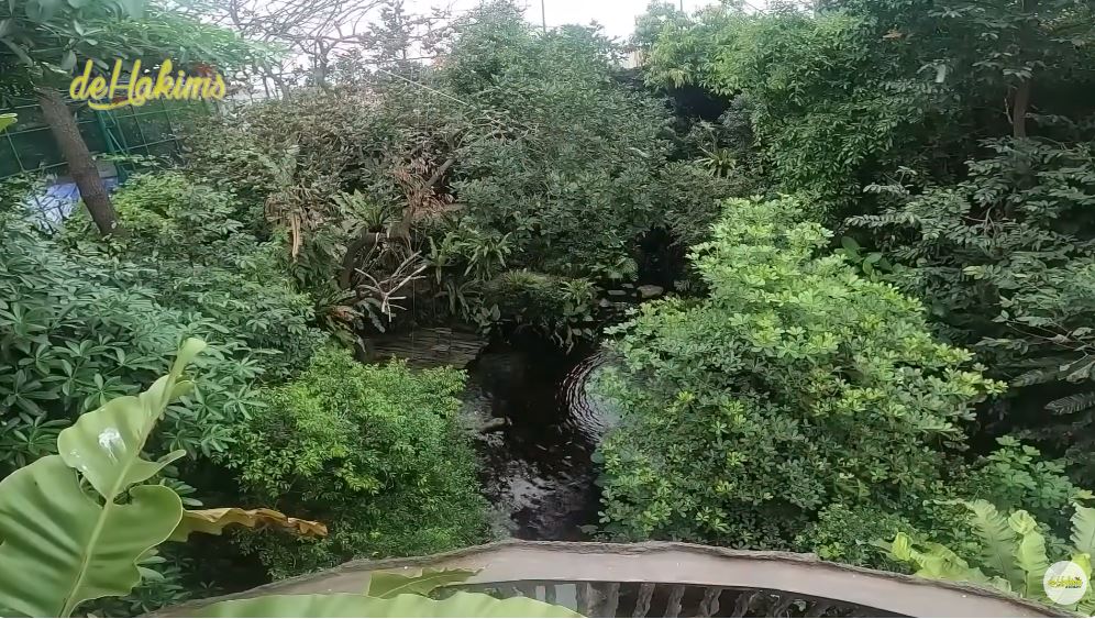 aviary milik irfan hakim hingga 3 m © YouTube aviary milik irfan hakim hingga 3 m © YouTube