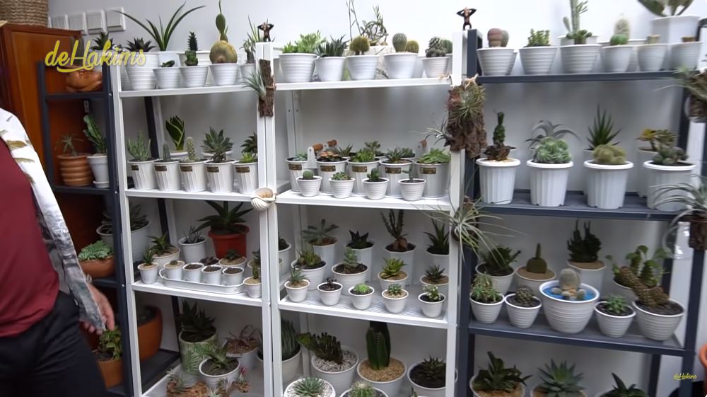 penampakan rumah soimah di jakarta © YouTube penampakan rumah soimah di jakarta © YouTube