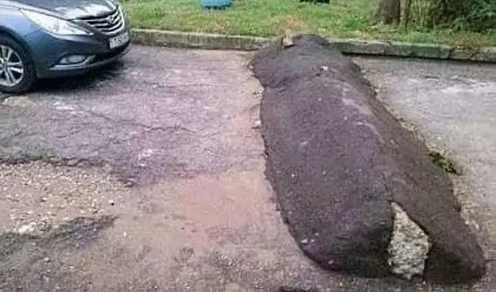 polisi tidur ngakak berbagai sumber