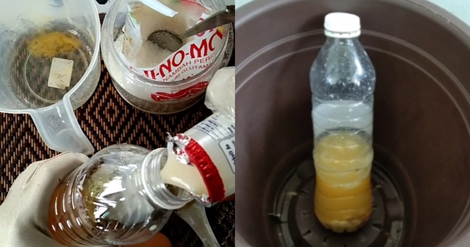Bukan diberi garam, ini cara merawat pohon belimbing agar cepat berbuah cukup tambah 1 bahan minuman