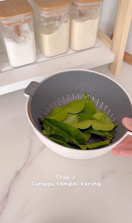 Tanpa perlu direndam air, ini cara menyimpan daun jeruk agar tetap hijau dan awet lebih dari sebulan