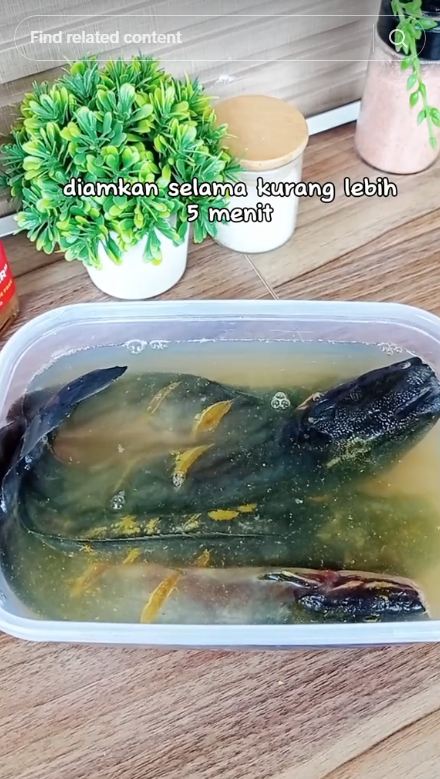 Cukup 5 menit, begini trik cairkan lele beku dengan cepat pakai 2 bahan dapur