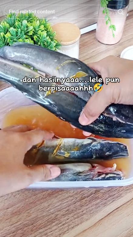Cukup 5 menit, begini trik cairkan lele beku dengan cepat pakai 2 bahan dapur