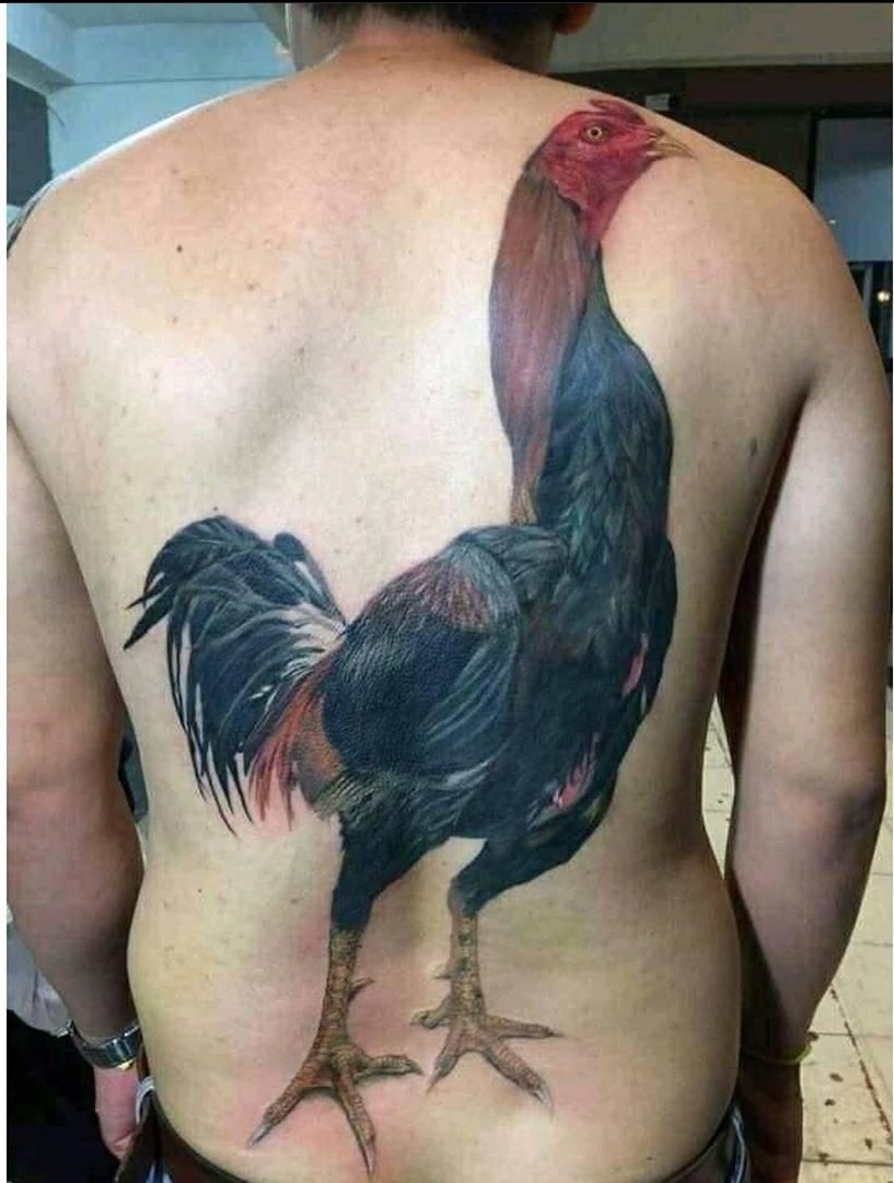 tato gagal pol berbagai sumber tato gagal pol berbagai sumber