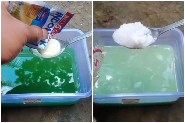 Bukan pakai obat, ini cara jitu merawat pohon mangga agar cepat berbuah cuma tambah 2 bahan dapur