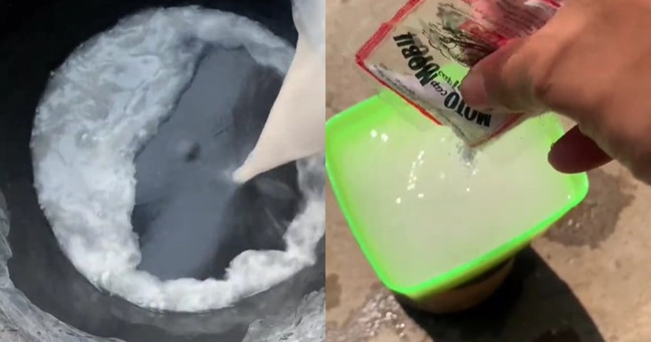 Tak cuma micin, ini trik merawat tanaman sawi agar subur dan daunnya lebar cukup tambah 1 ampas dapur