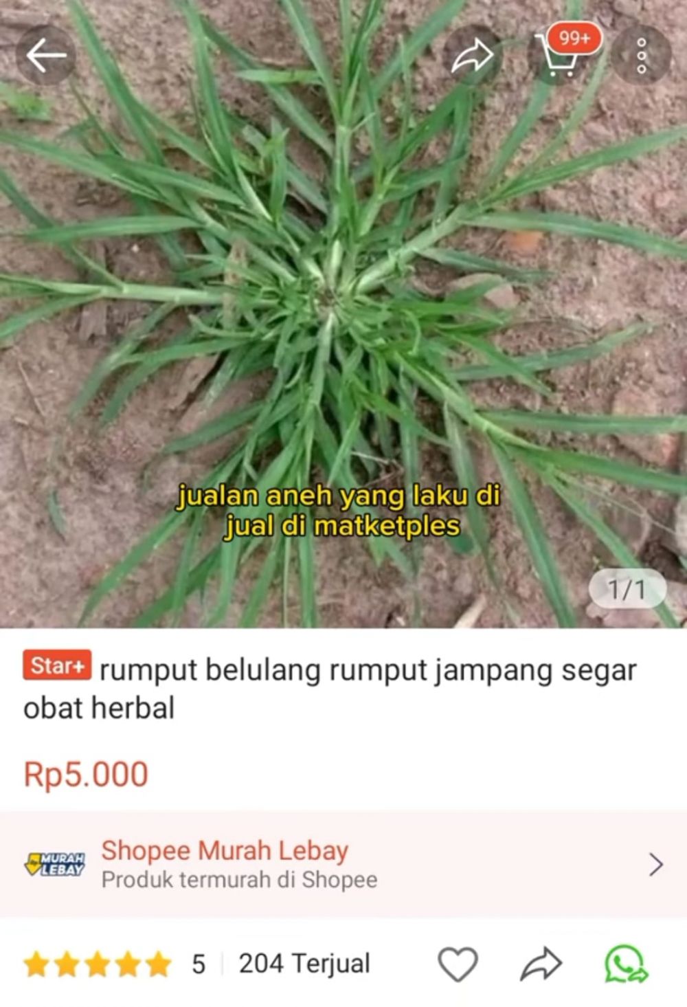 jualan diluar nurul berbagai sumber