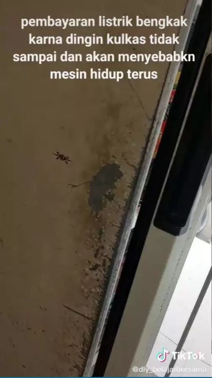Cara mengatasi karet kulkas longgar agar kembali rapat dan lentur cuma pakai 1 alat sederhana