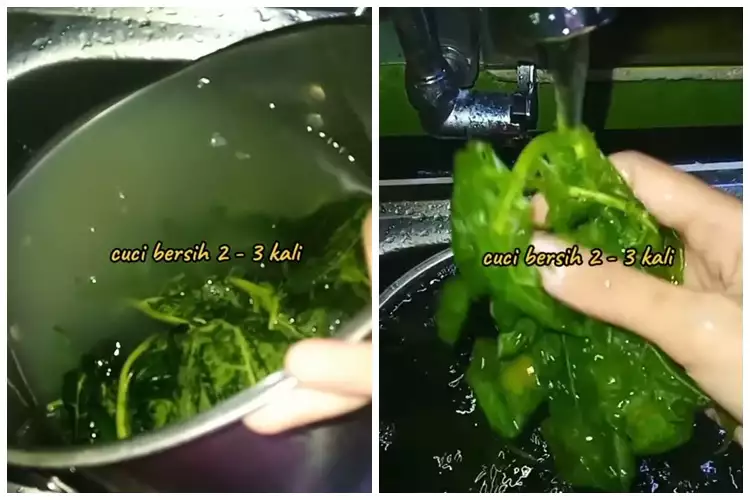 Tak perlu tanah liat, ini trik ampuh menghilangkan rasa pahit daun pepaya cuma pakai 3 bahan dapur