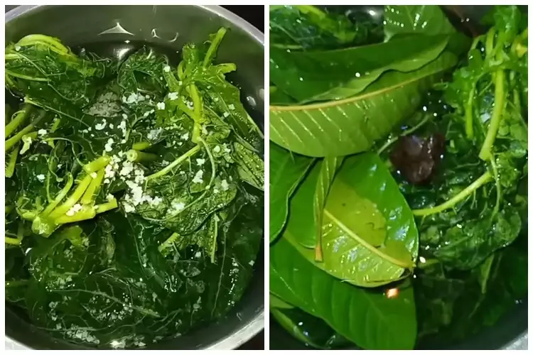 Tak perlu tanah liat, ini trik ampuh menghilangkan rasa pahit daun pepaya cuma pakai 3 bahan dapur