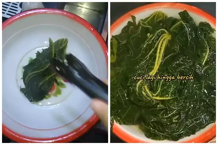 Tak perlu tanah liat, ini trik ampuh menghilangkan rasa pahit daun pepaya cuma pakai 3 bahan dapur