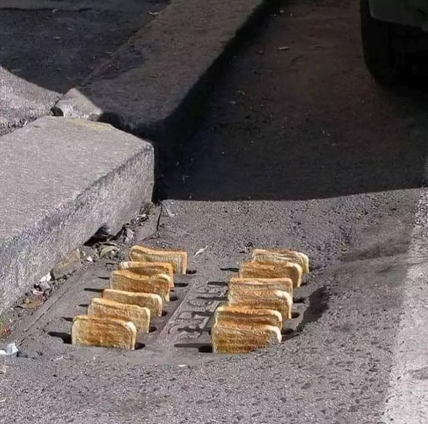 Potret kocak nan janggal Berbagai sumber