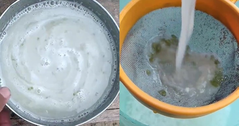 Tanpa garam atau air beras, ini trik merawat tanaman bawang merah agar subur pakai 1 jenis sayur