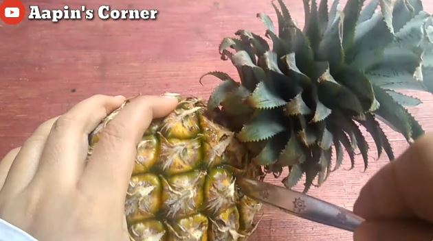 Tanpa pisau, begini cara mengupas kulit nanas cuma pakai 1 alat sederhana