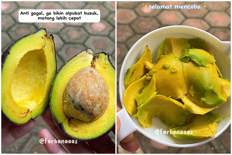 Bukan diperam beras, ini cara ampuh mematangkan buah alpukat yang keras cuma pakai 1 alat sederhana