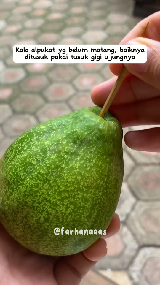 Bukan diperam beras, ini cara ampuh mematangkan buah alpukat yang keras cuma pakai 1 alat sederhana
