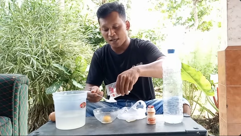 Tak diberi garam, ini trik melebatkan daun pohon jeruk purut agar cepat berbuah pakai 2 jenis minuman