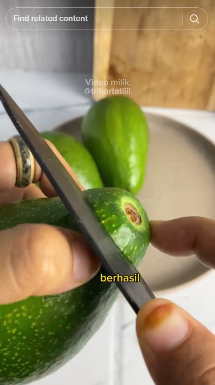 Bukan ditusuk lidi atau diperam beras, ini cara cepat mematangkan alpukat agar tak busuk pakai 2 alat