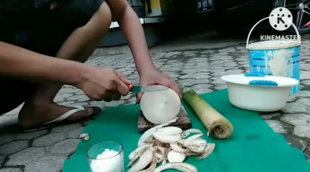 Jangan cuma pakai garam, ini trik suburkan pohon kelengkeng agar buahnya makin lebat dan tak rontok