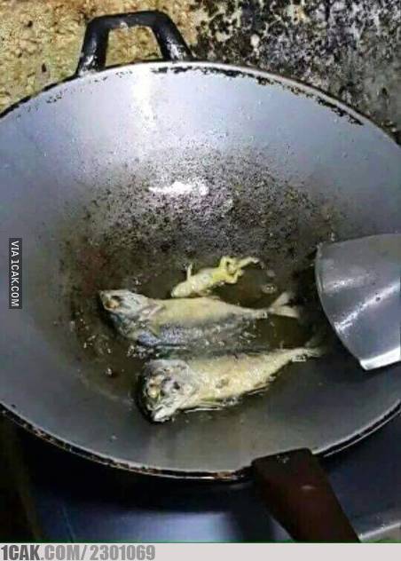 Potret kocak olahan ikan Berbagai sumber Potret kocak olahan ikan Berbagai sumber